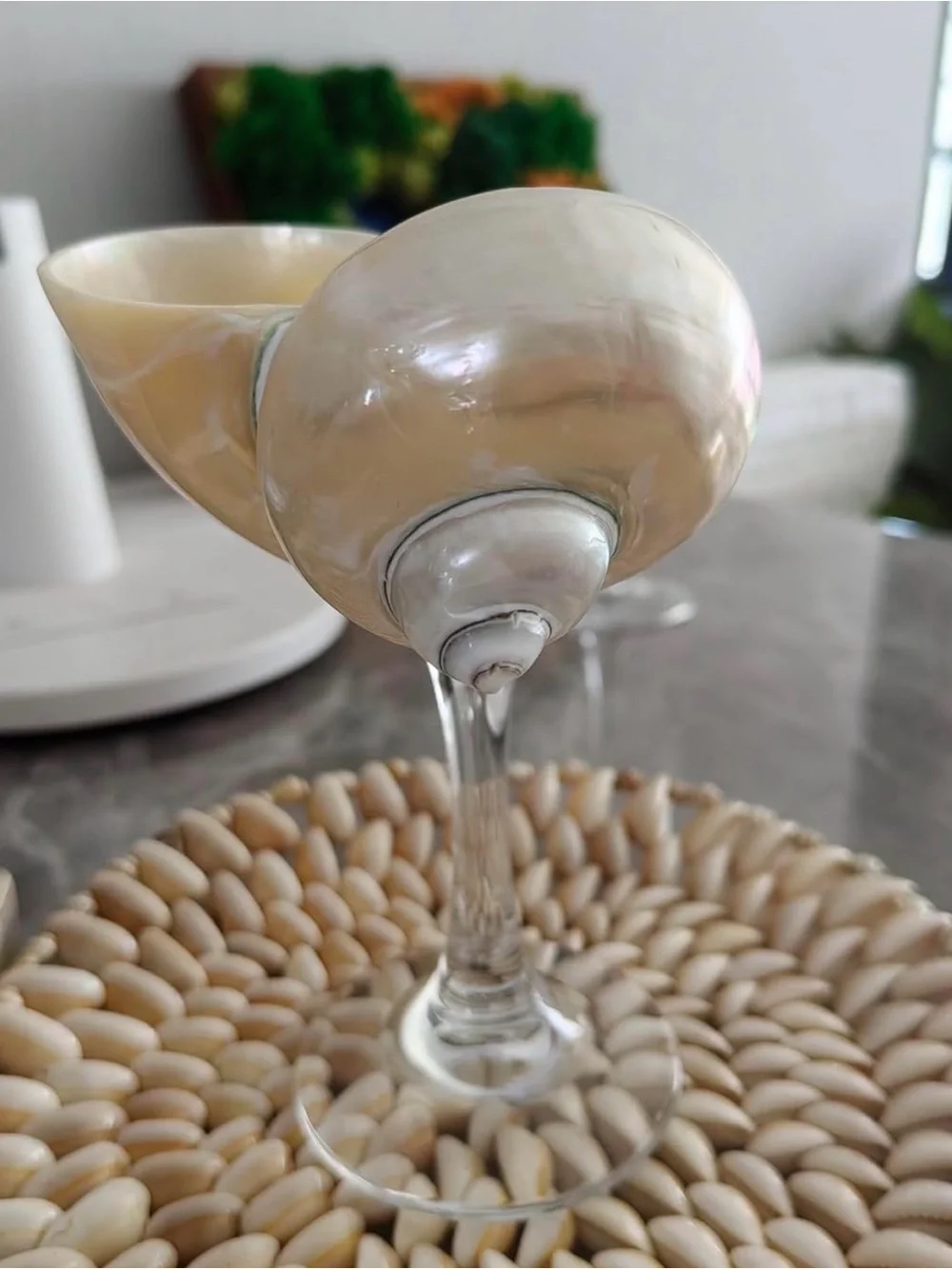 Set of 2 Pearl and Shell Martini Glass - Cream and Pearl Tones